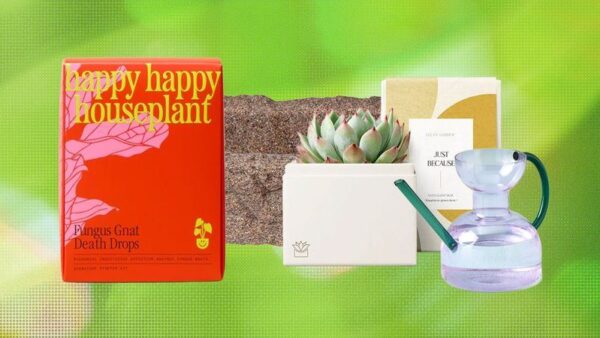 راهنمای جامع بهترین هدایای تخصصی برای علاقه‌مندان به گیاهان و باغبانی (پاییز ۱۴۰۵)
