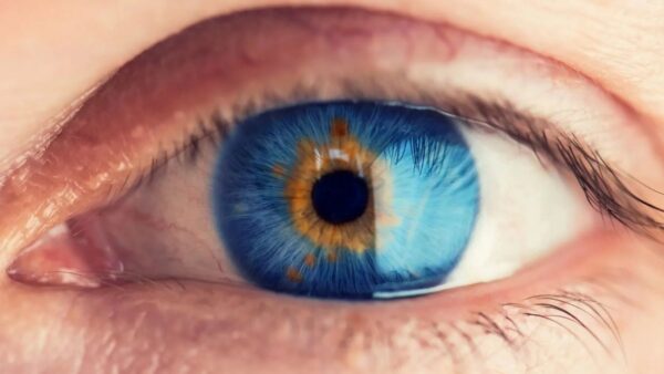 پزشکی دیجیتال و بیومتریک چشم؛ تحلیل داده‌های شبکیه در پایش سرعت پیری