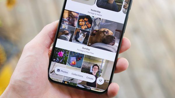 بهینه‌سازی مدیریت گالری در Google Photos؛ فیلترینگ هوشمند افراد و حیوانات خانگی در آلبوم‌ها