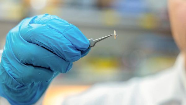 تحولی در نوروتکنولوژی: دستگاه تزریقی بی‌سیم برای تعدیل درد مزمن و اختلالات عصبی