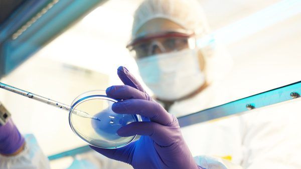 تحلیل ابعاد امنیت زیستی و امنیت سایبری در مدیریت بحران‌های اپیدمیولوژیک: درس‌هایی از حادثه آزمایشگاه روسیه